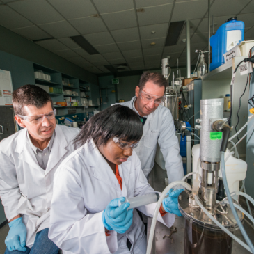 Women in the rational world of Science, Technology, Engineering and Mathematics (STEM)