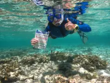 Jodi as a REEFSearcher